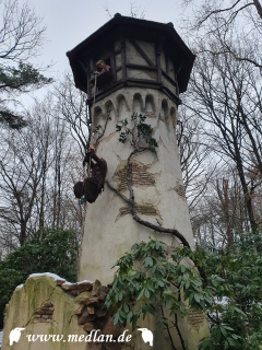 Im Märchenwald